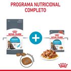 Royal Canin Urinary Sobre en Salsa para gatos, , large image number null